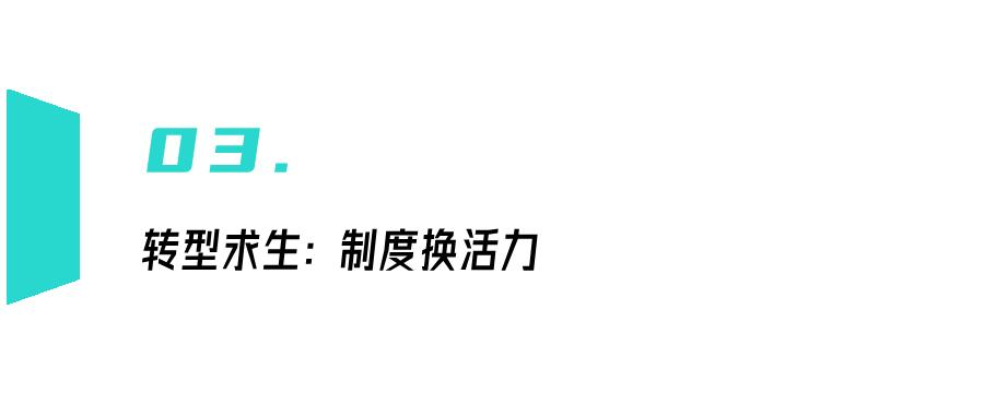 廉颇xyg,廉颇毛遂