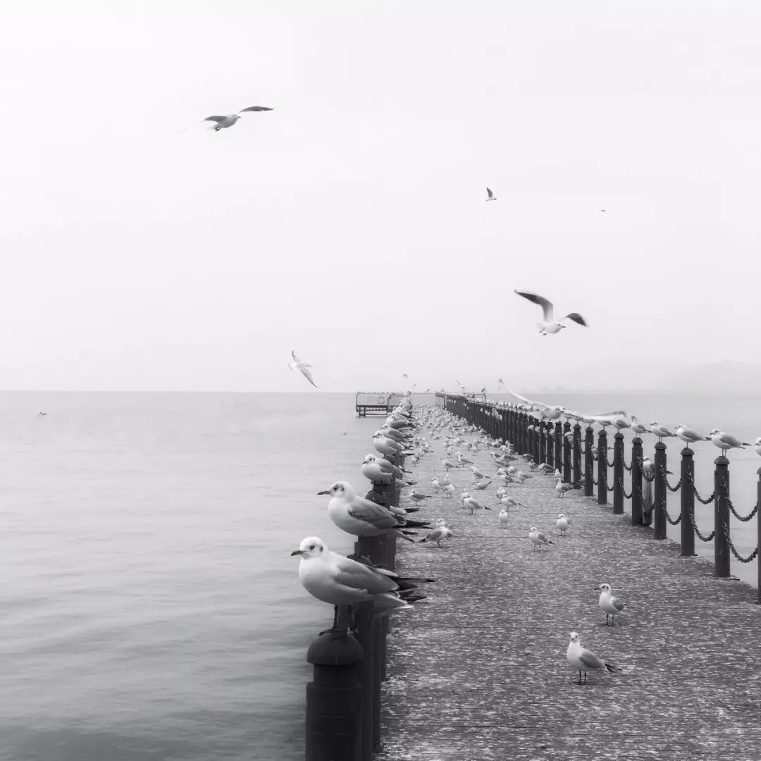 iphone手机相机的各个功能介绍,新手iphone使用关注事项