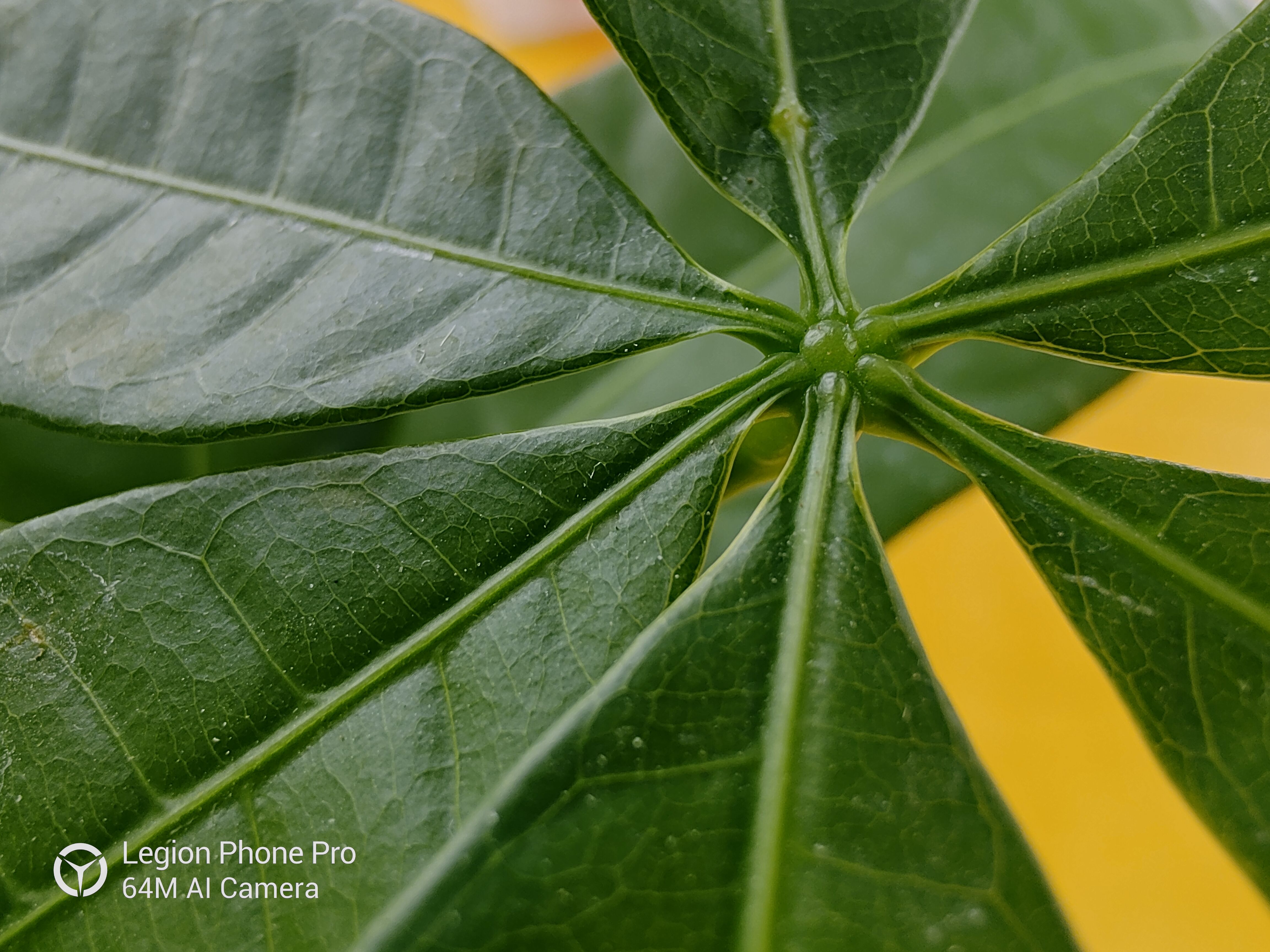 拯救者新电竞手机曝光,拯救者电竞手机一代还值得买吗