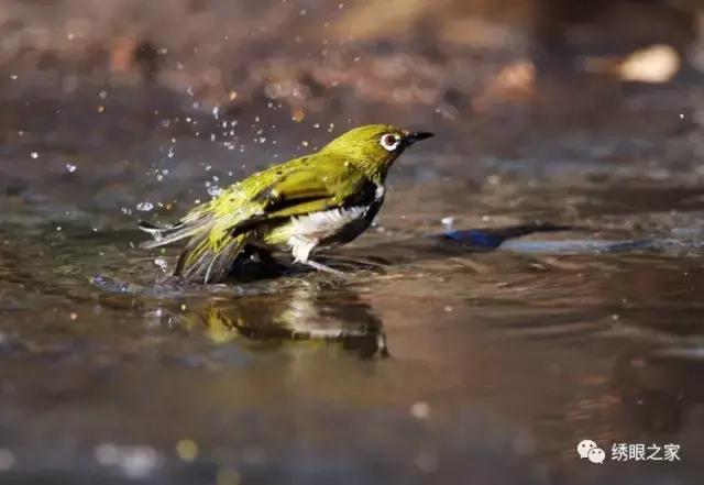 缁ｇ溂鎹㈡瘺瑙嗛,缁ｇ溂鎰忓鎹㈡瘺