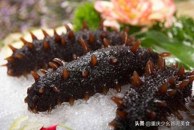 如何发干海参才能发得好,海参涨发最简单的方法