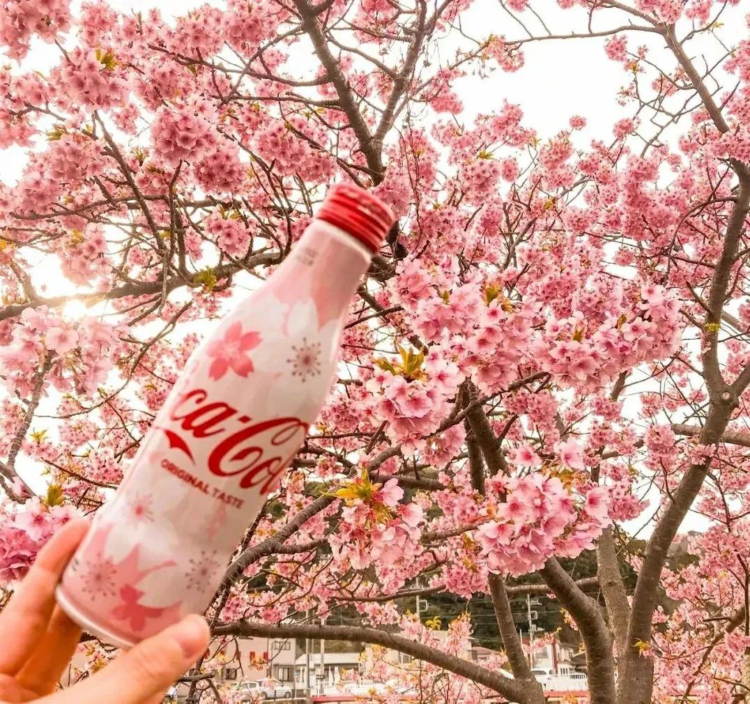 万物皆可盘科学实验,万物皆可期深度解析