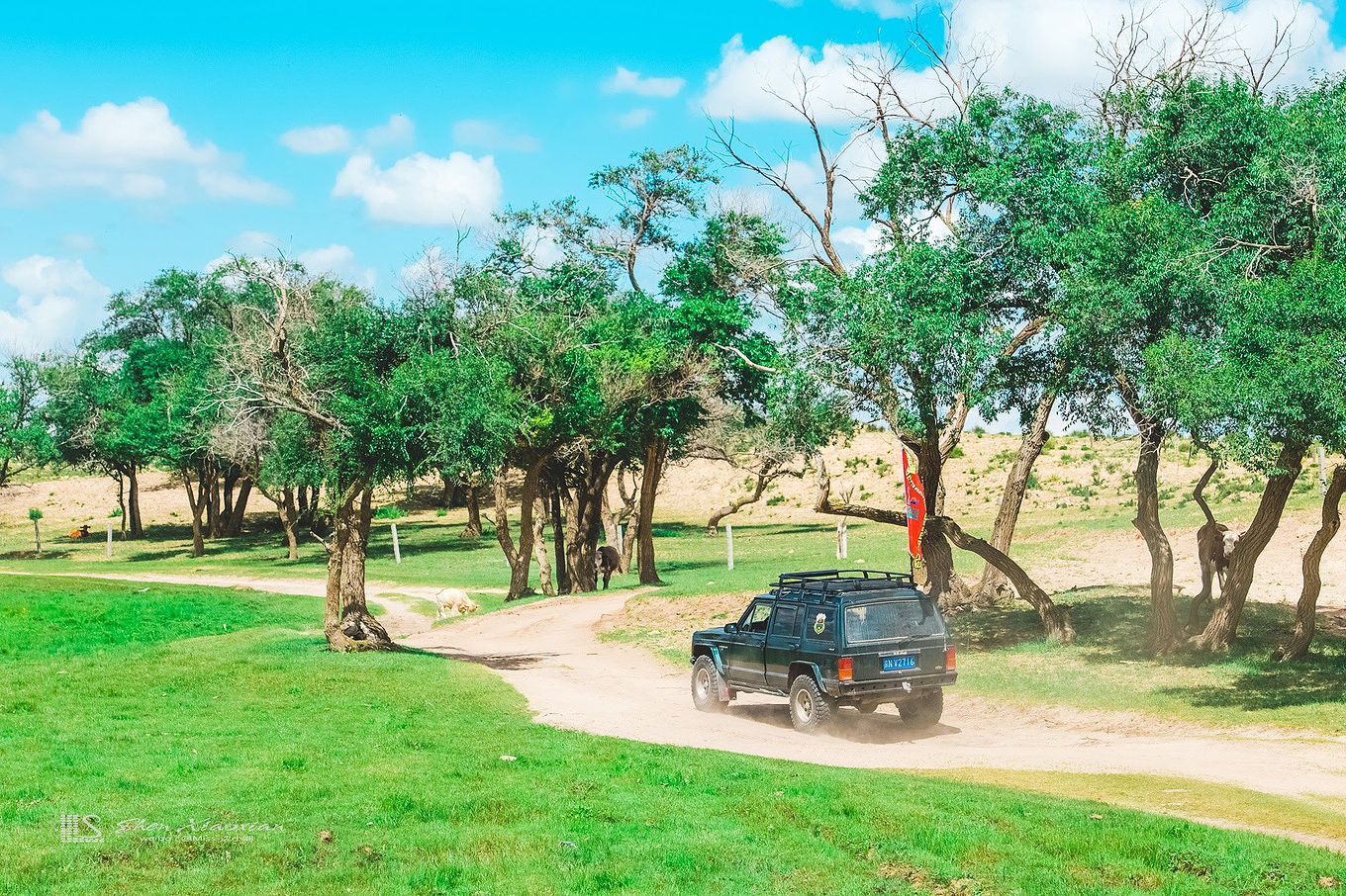 八月的锡林郭勒,8月的锡林郭勒