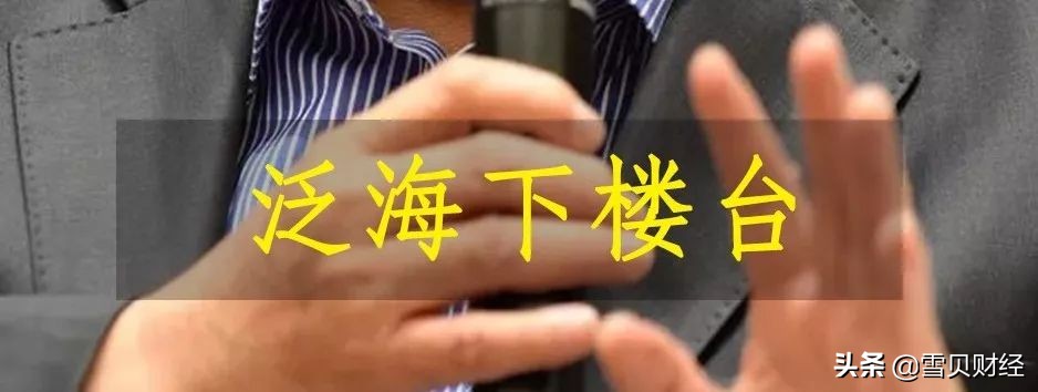 雪贝|中民投的蹊跷交易