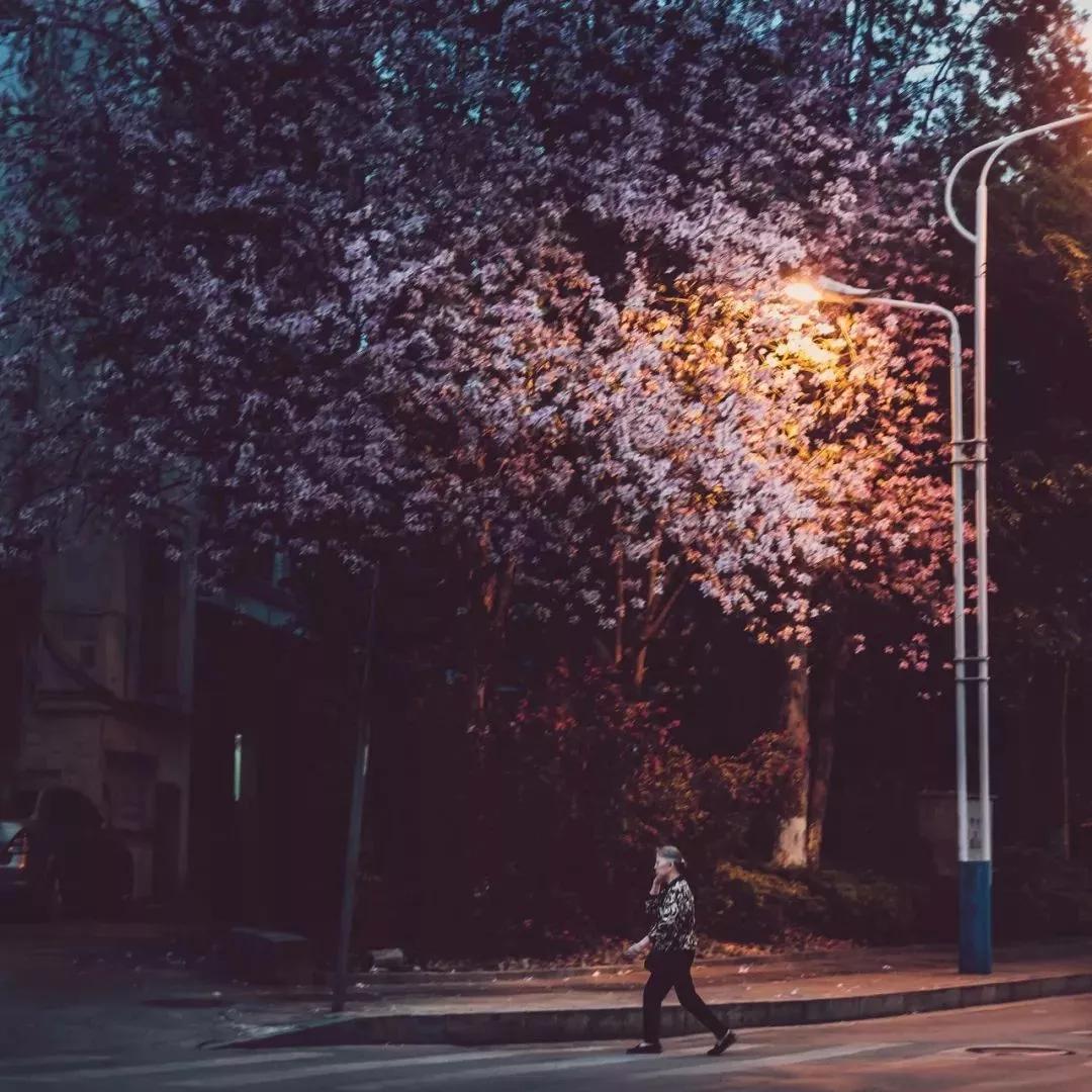 退休后就去国内旅游,退休后必去的100个景点