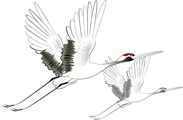 国医大师张震安神汤,国医大师张震治疗肿瘤