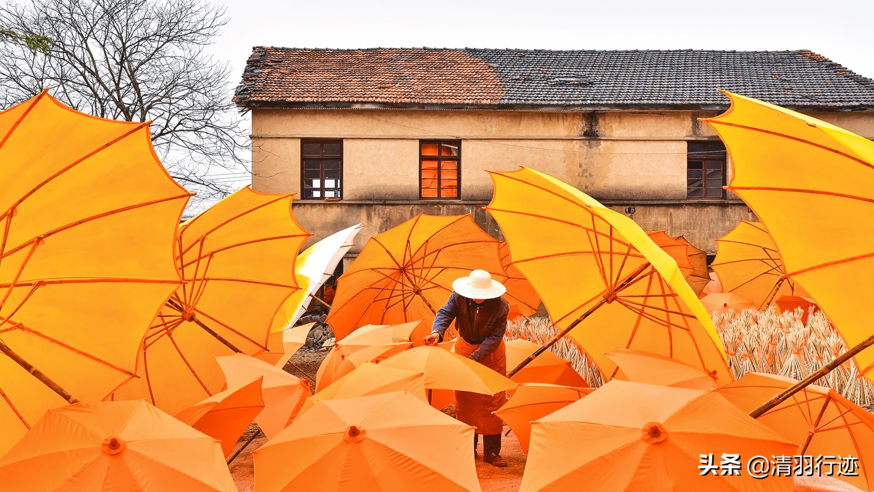 手艺传承之油纸伞,油纸伞工艺传承背后的故事