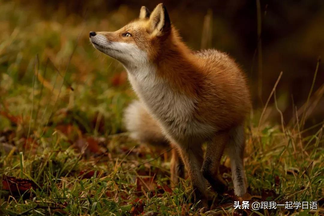 辨析认识,辨析概念