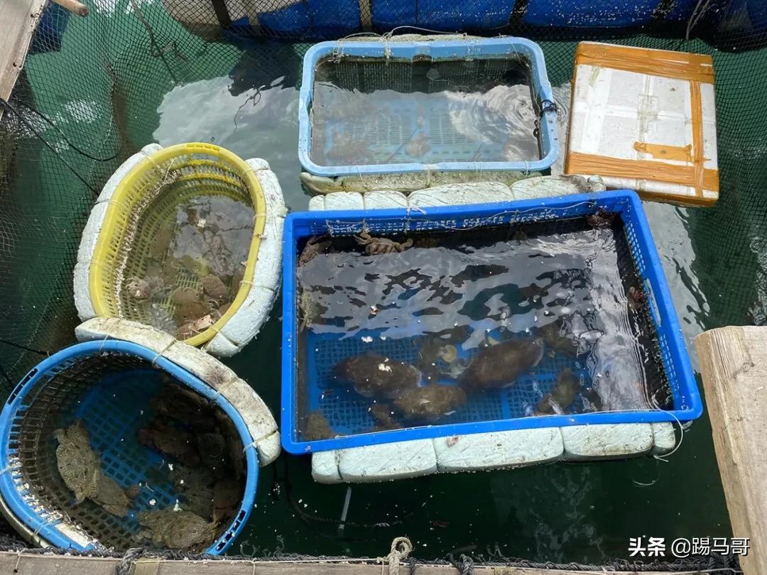 三亚不值得去的景点有哪些,三亚不值得去的景区