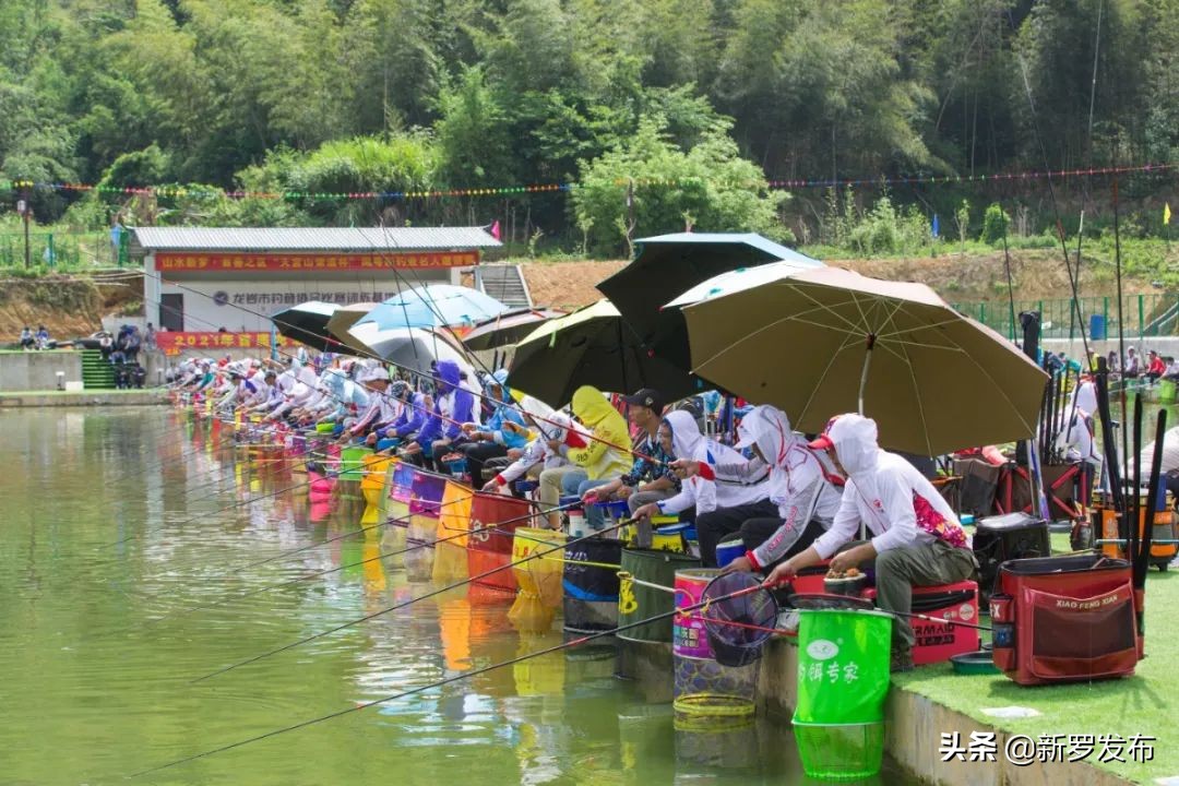 山水文化新罗,山水田园生态旅游节