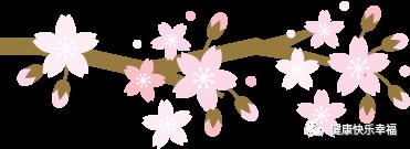 孩子好动关注力不集中的引导方法,13岁孩子关注力不集中爱动怎么办