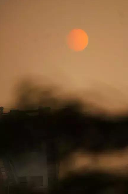 纵豆蔻词工青楼梦好难赋深情出处,纵豆蔻词工青楼梦好难赋深情赏析