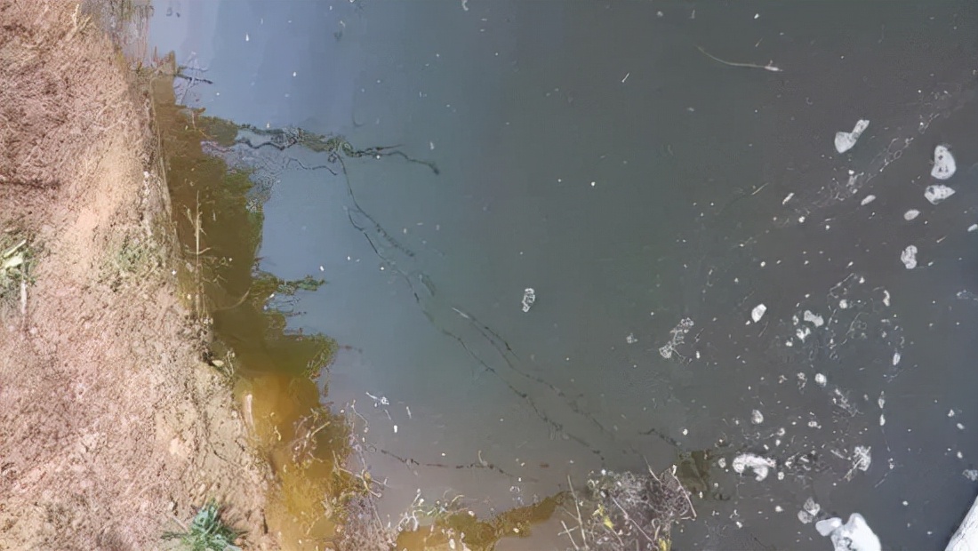 解决纤毛虫,纤毛虫防治技术