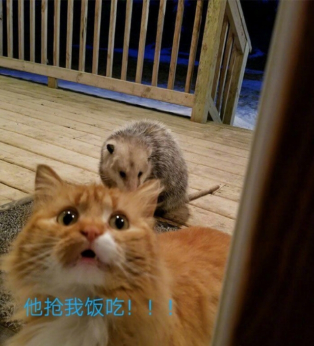 喝醉了第二天醒来精神很好,喝醉酒了第二天再喝一杯