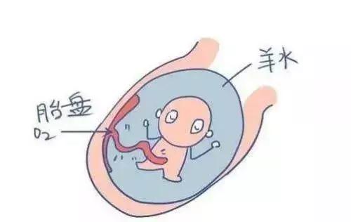 整个孕期，B超究竟都能查出些什么？