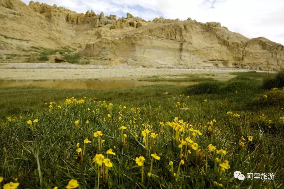 藏西秘境阿里之行,藏西秘境阿里