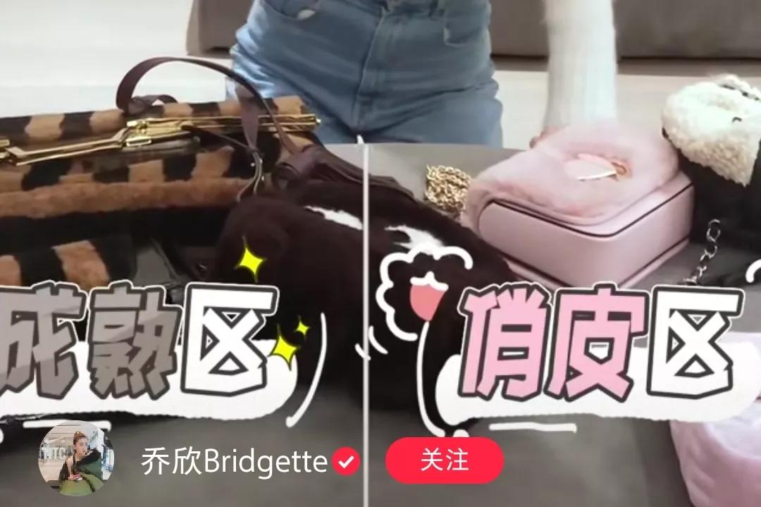 乔欣到底多有钱,乔欣到底有多少风衣