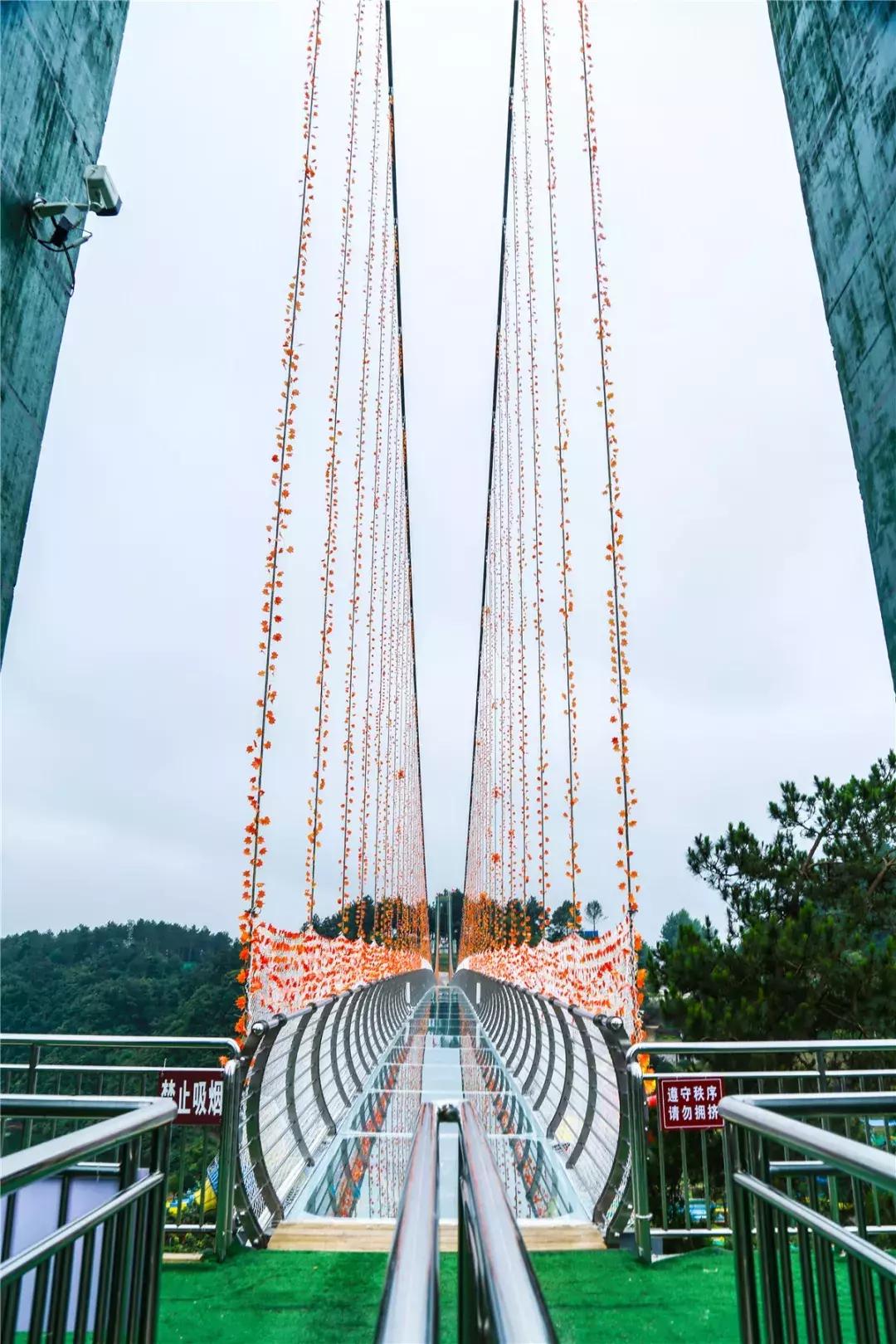 贵阳最快到达的“树屋王国”，一个童话照进现实的地方