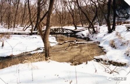 通辽到呼市的特价机票,呼和浩特特价机票往返