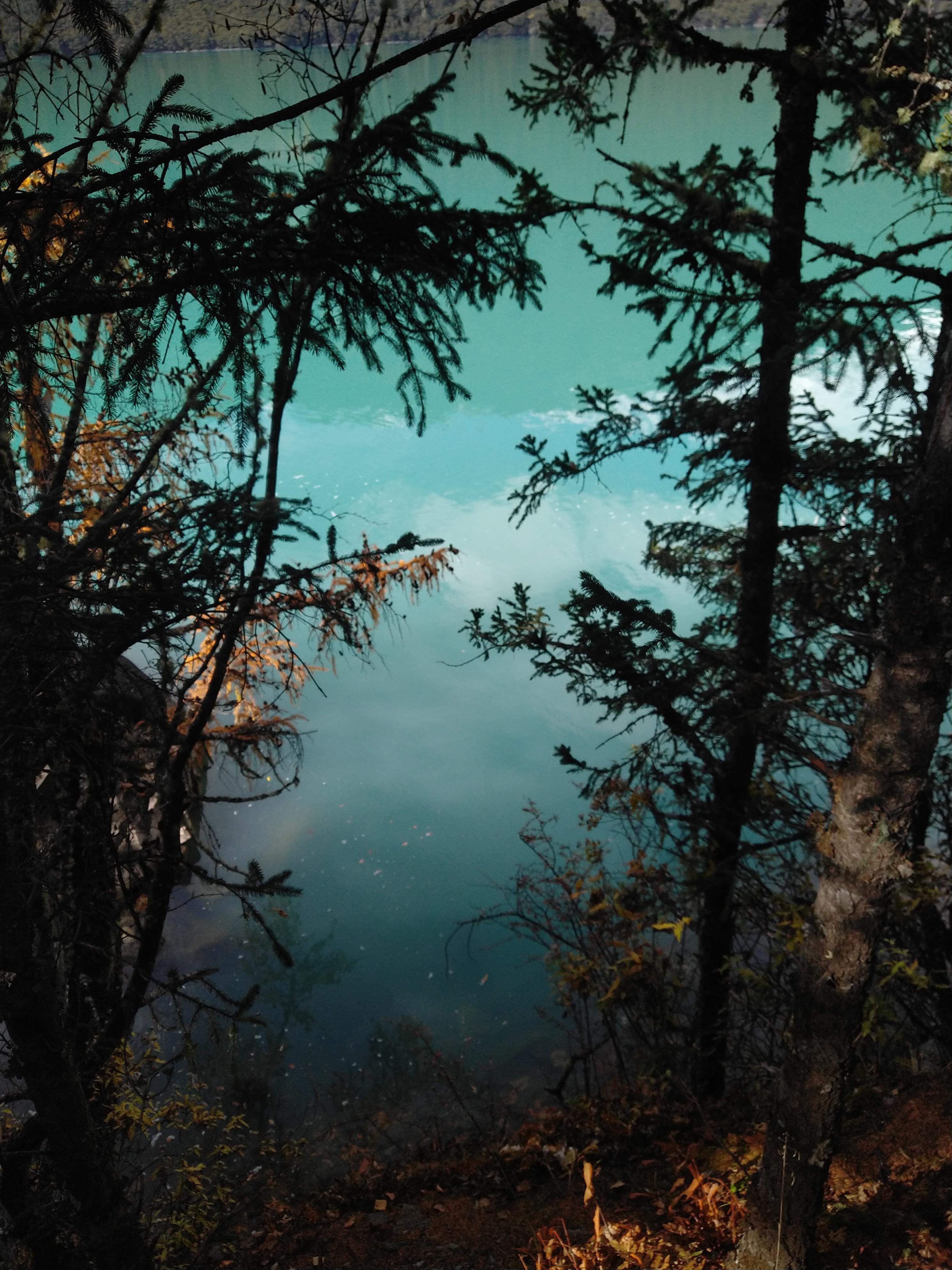 混迹*藏西**数日，最终落荒而逃，只因路上一景让我等俗人无地自容