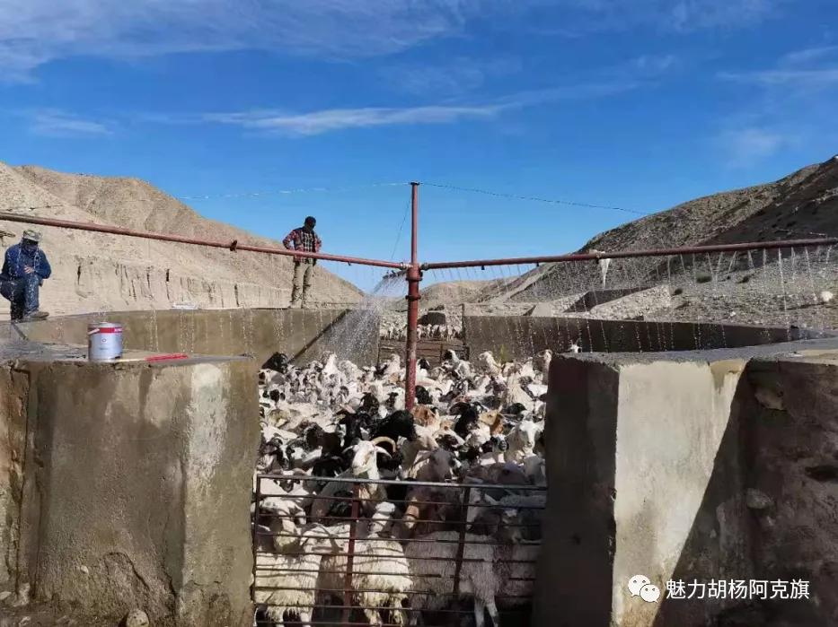 阿克塞疫情防控,甘肃酒泉阿克塞防疫政策