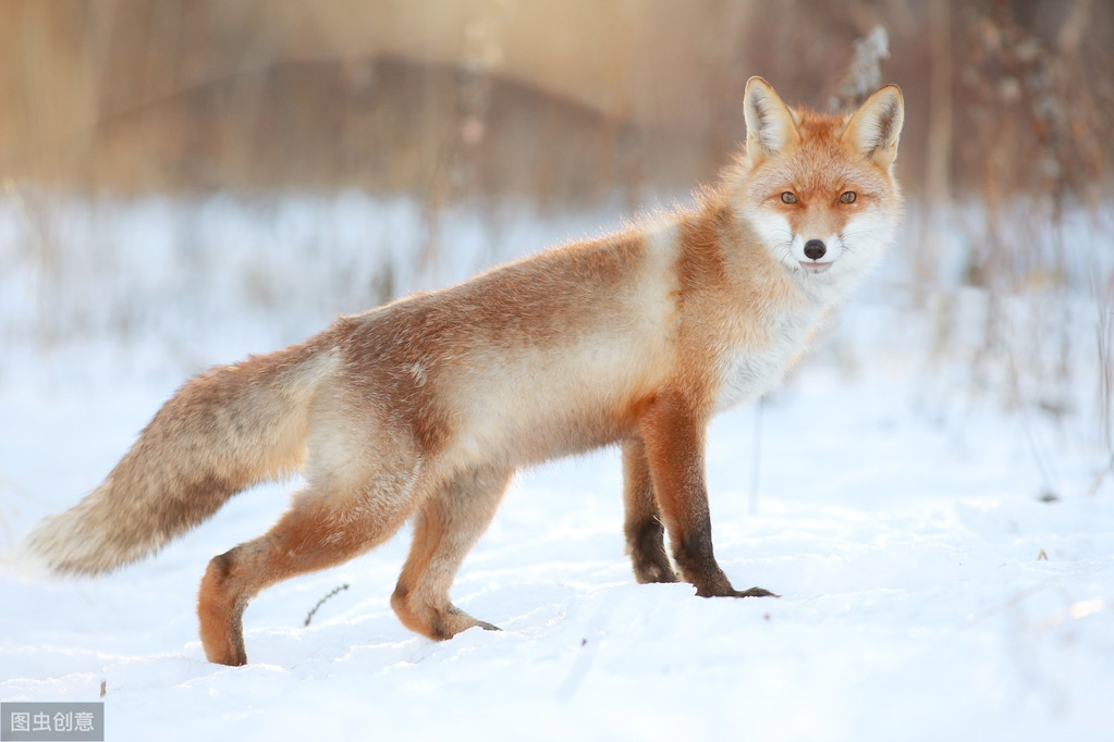 打碎成见与自我努力,打碎偏见认识自己
