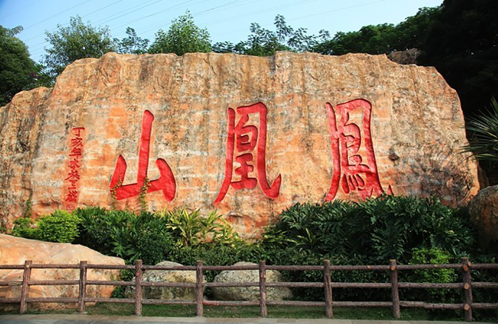 在深圳可不去世界之窗，但不可错过凤凰山森林公园，一览宝安风景