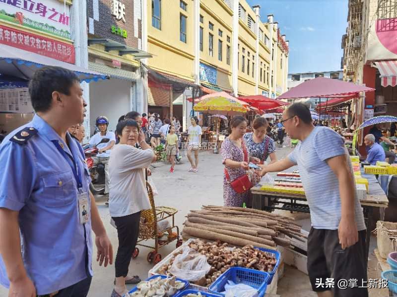 野生毒蘑菇烧毁,野生蘑菇当地市场监管部门烧毁