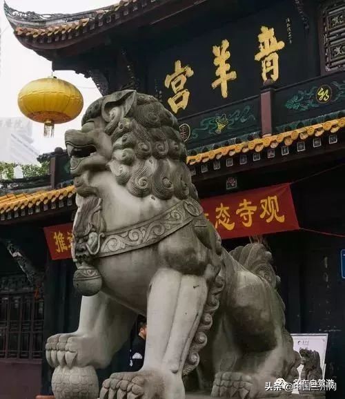 兰州到重庆绿巨人,兰州至上海绿巨人