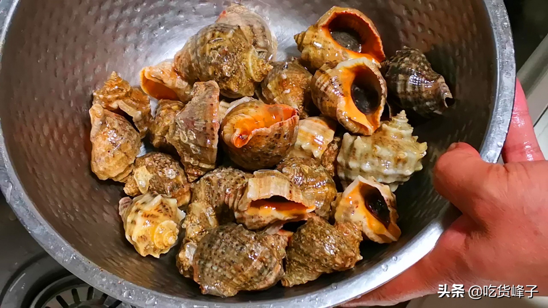 海螺用凉水还是热水煮,煮海螺为啥放白糖