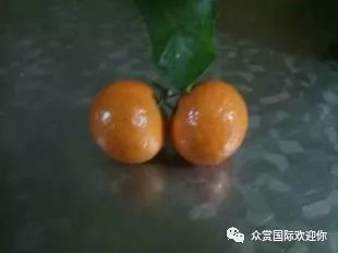 9秒快速识人课程,精准识人课