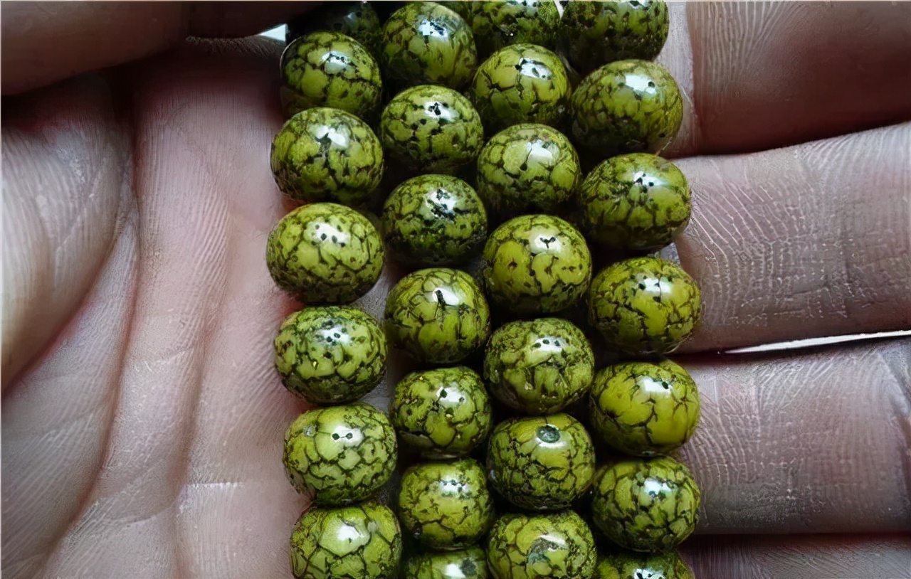 星月菩提盘多久开片,阴皮星月菩提怎么盘出包浆开片