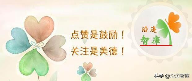 视察乌克兰,俄罗斯的视察