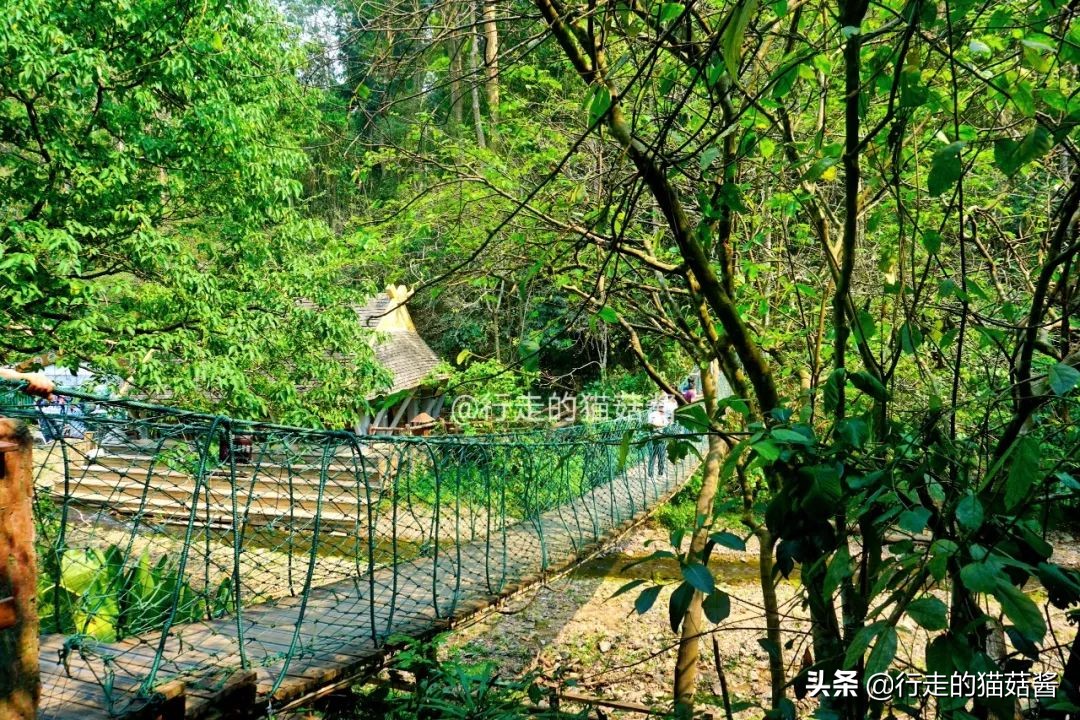 三刷一个城市是什么样的体验,西双版纳最好的边境小城