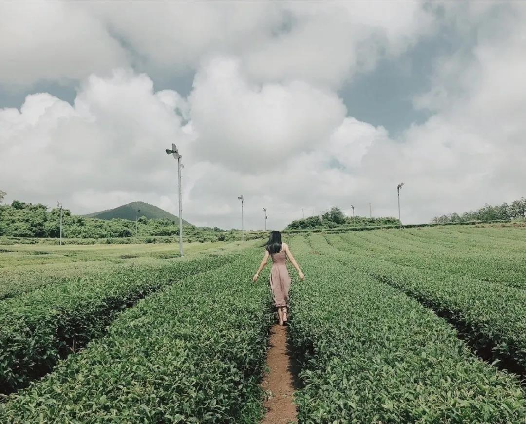 拍照神器拍照大片,少女拍照神器app