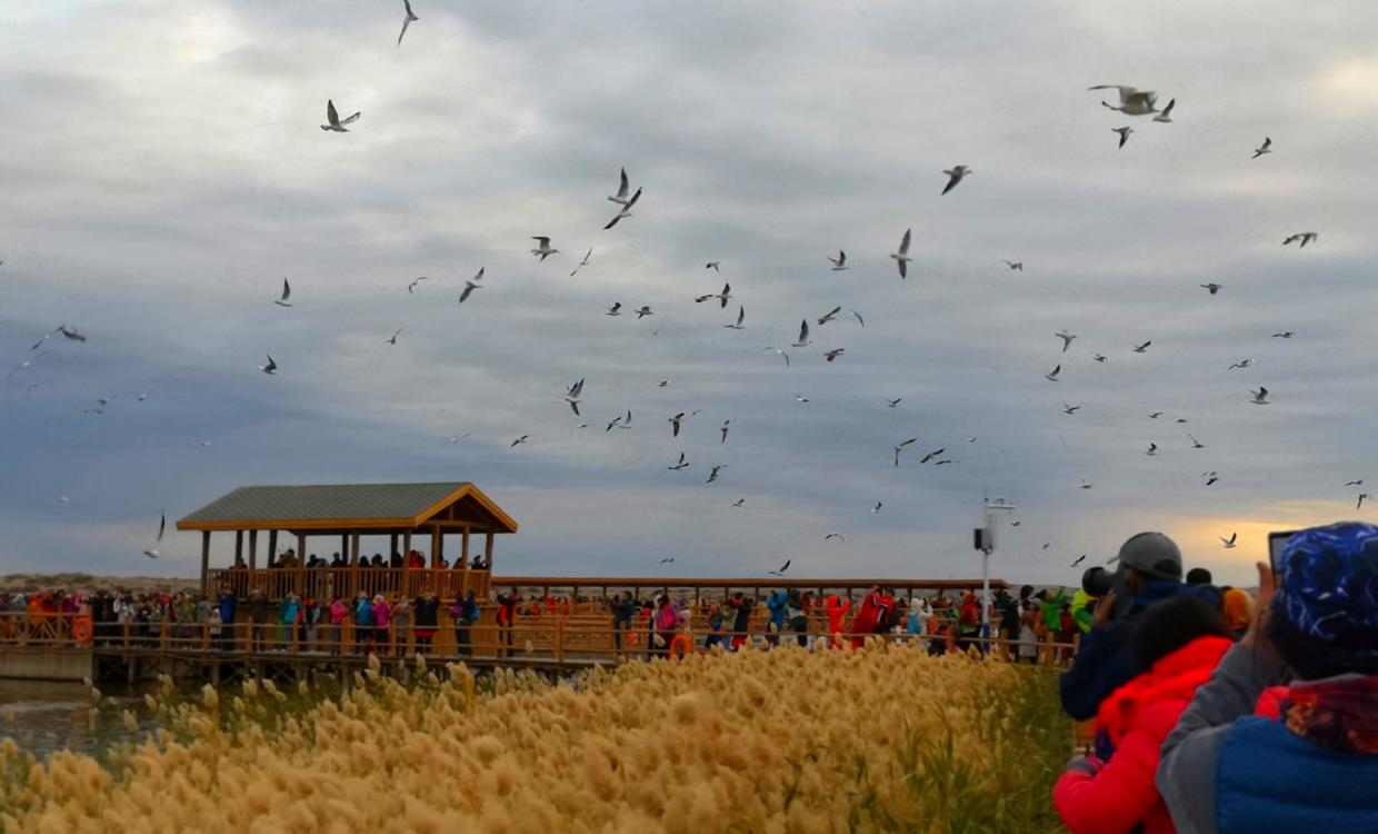 衣服黑点清洗小妙招,衣服黑点怎么洗掉