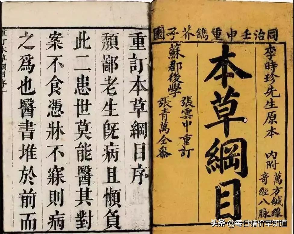 苍术种植杀菌用药,苍术有病虫害用啥药