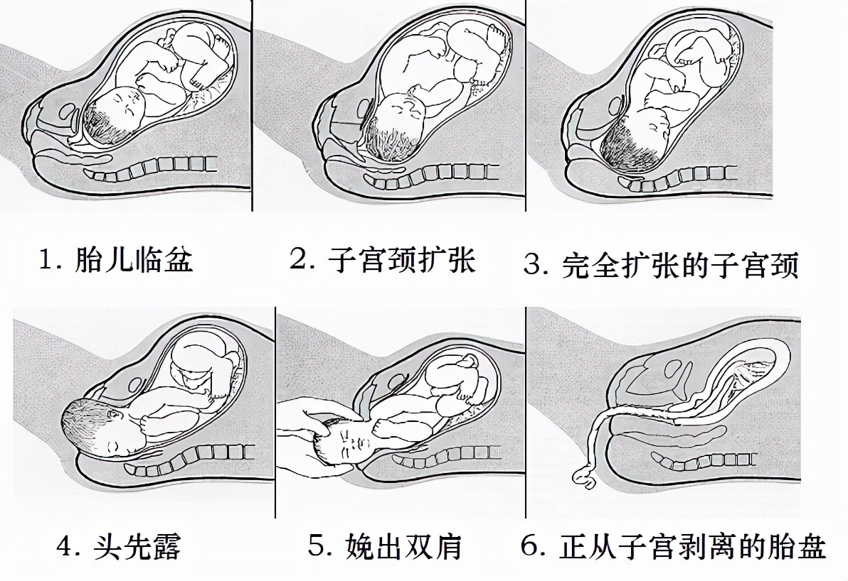 分娩是女性身心的重要的转折点,女性分娩到底要经历什么