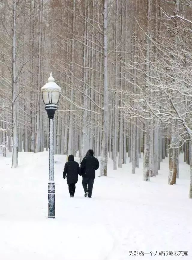 厦门海滨老城旅游,厦门最美海滨城