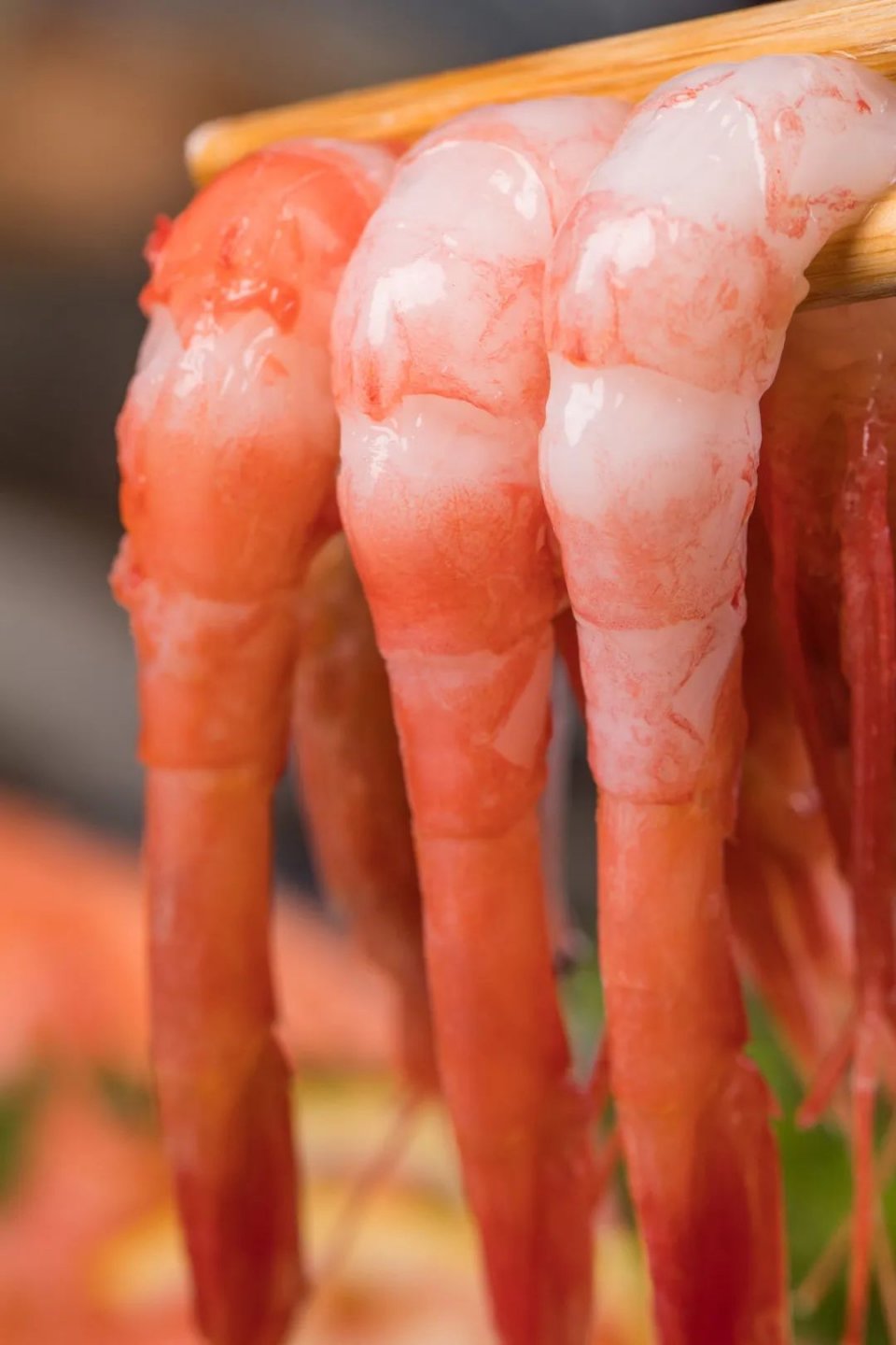 日料店深圳华强北,深圳日式烤鳗鱼推荐