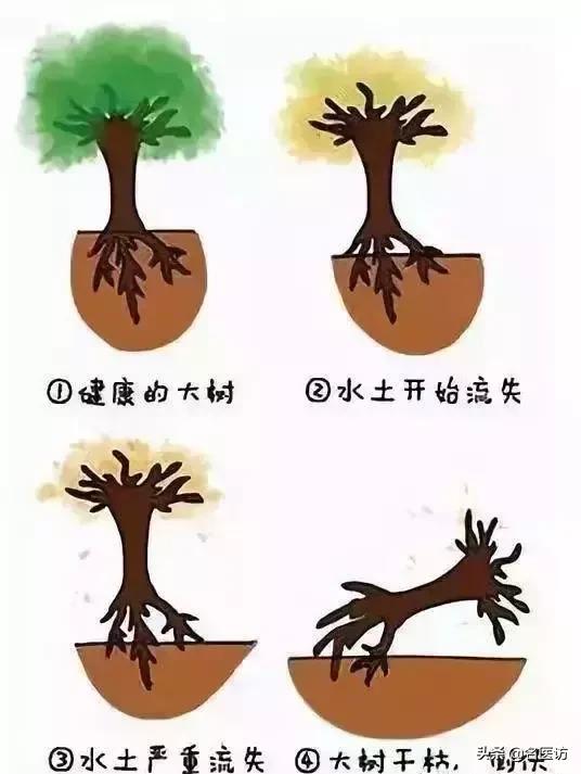 牙周炎才是牙齿松动的罪魁祸首,牙周炎导致全部牙齿脱落镶什么牙