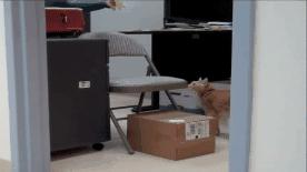 软骨素对膝盖疼有帮助吗,软骨素对全身疼痛有用吗