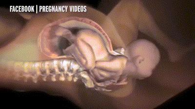 孕妇36周火冒三丈,孕妇生产完后怒骂医生