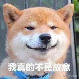 暑期安全不放假视频,暑假安全不放假直播