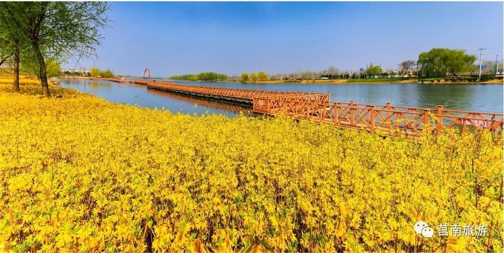 莒南自驾游免费景点大全图片,莒南春季游玩好去处推荐