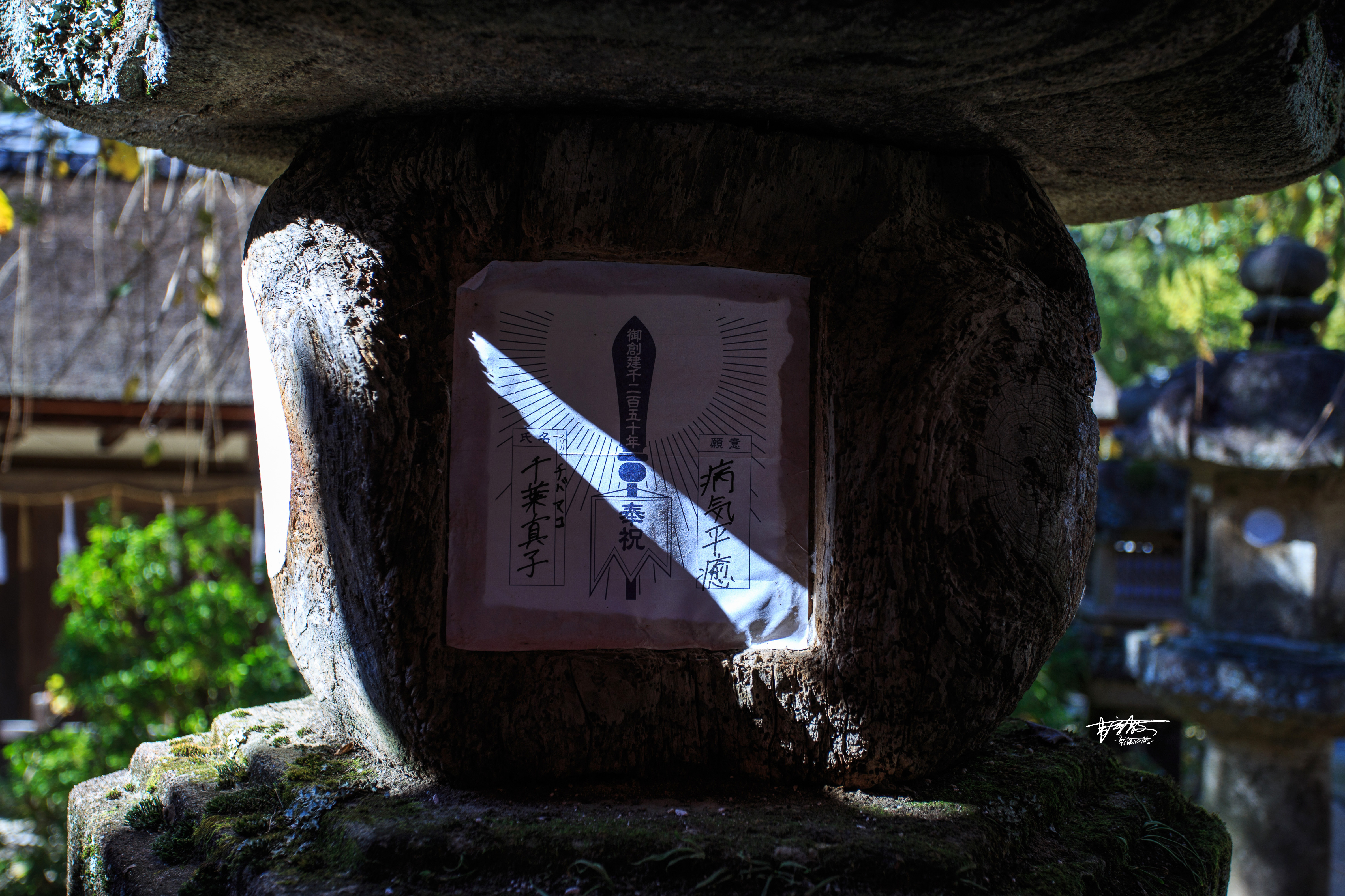 网红打卡景点奈良,日本奈良10大网红打卡景点