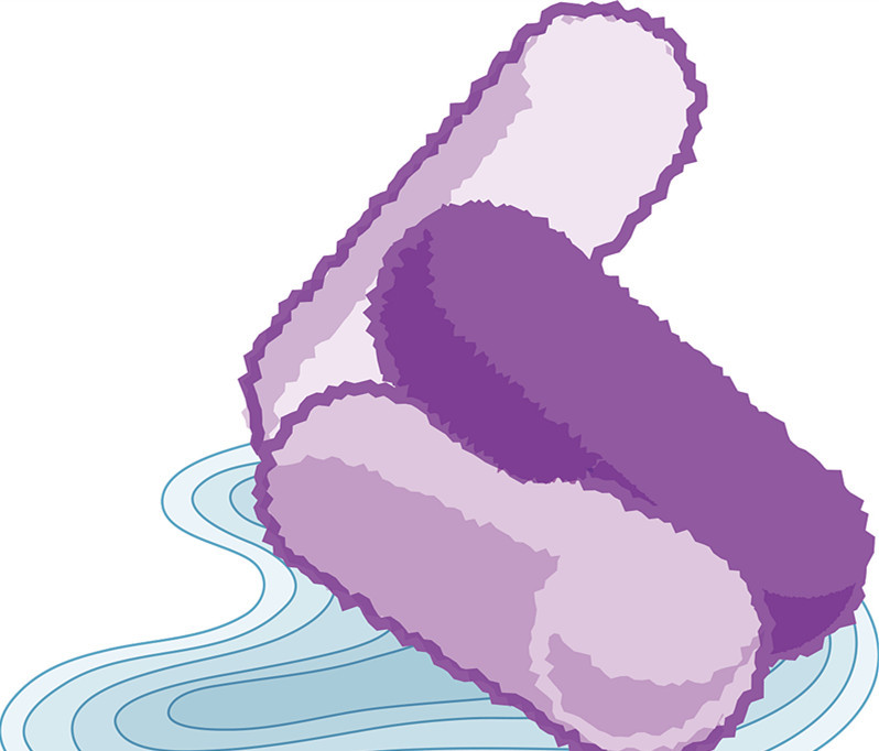 吃益生菌对妇科病也有好处吗,你是易胖体质还是易瘦体质