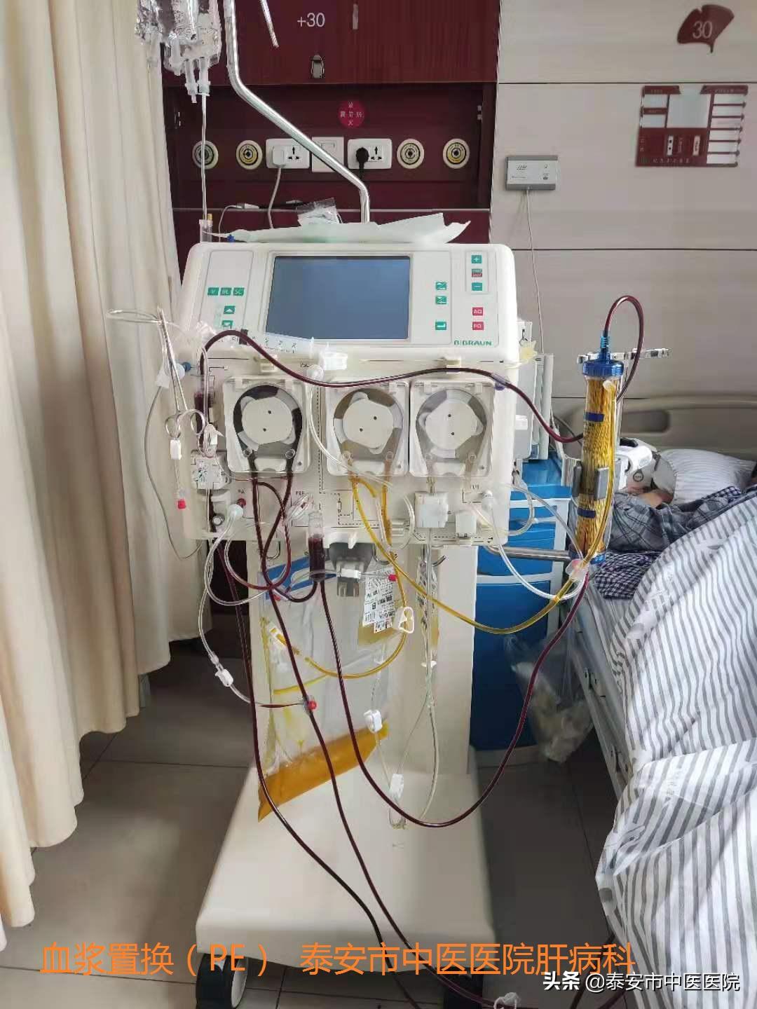 传承精华守正创新市中医医院,中医药大学第一附属医院肝病科