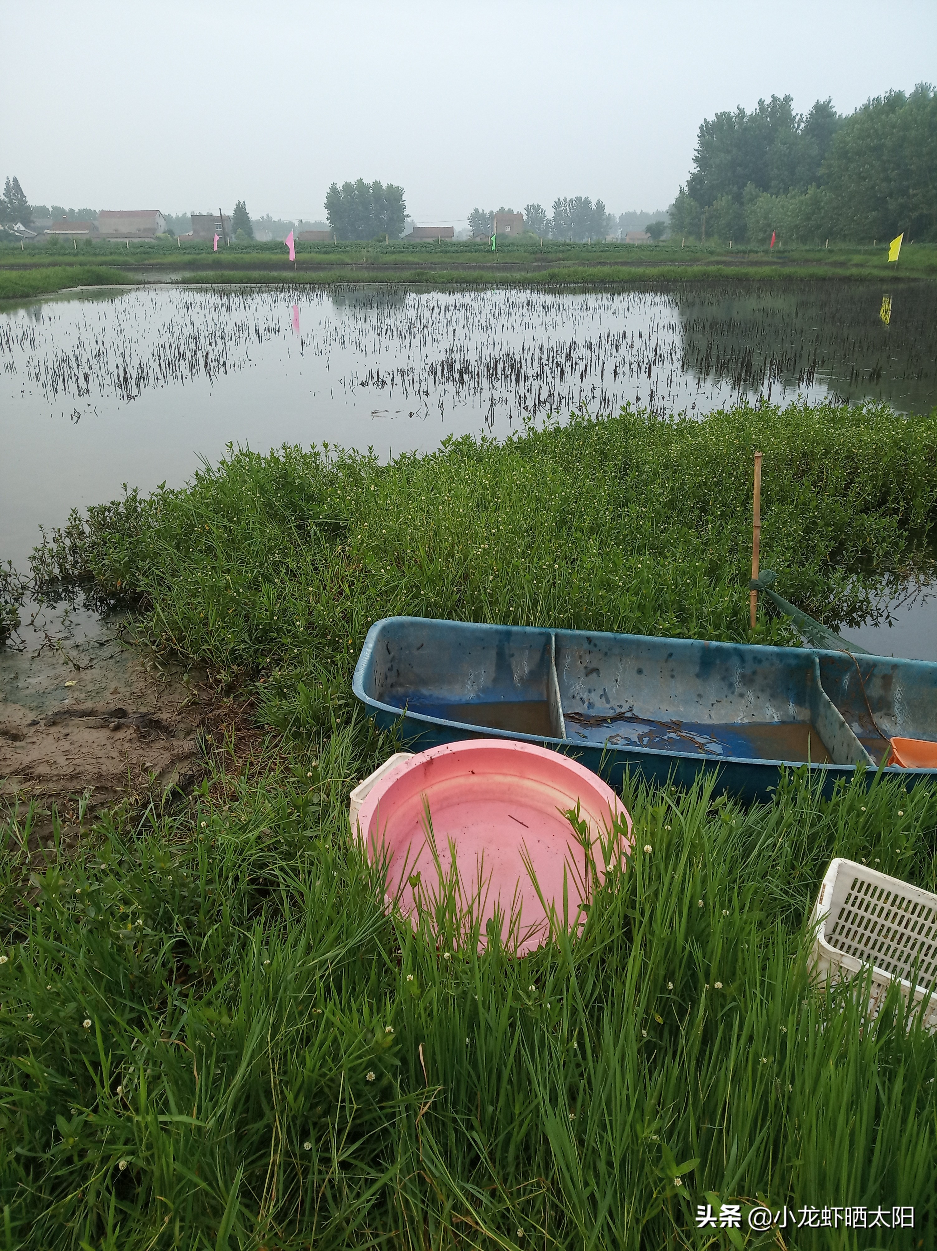 秸秆腐烂污染水怎么解决,稻虾田秸秆怎么处理最合适