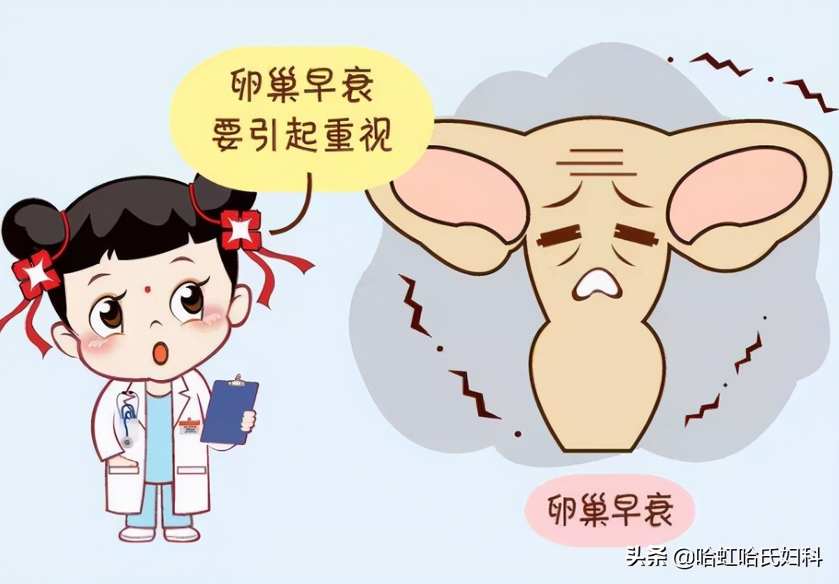 40岁高龄卵巢早衰试管还有机会吗,29岁卵巢早衰试管几率高吗